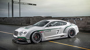 white sports car, Bentley Continental GT3, Bentley, silver cars, vehicle