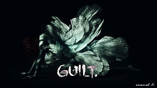 white petaled flower with guilt text overlay, quote, digital art, dark, typography