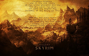 Skyrim poster, The Elder Scrolls V: Skyrim, dragonborn, video games, The Elder Scrolls HD wallpaper