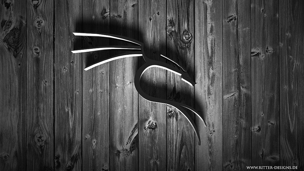 grayscale photo of metal decor, Linux, Kali Linux NetHunter, Kali Linux HD wallpaper