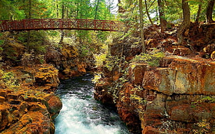 landscape photography of bridge near trees, body of water, and rock formation