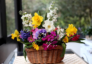 assorted flowers in basket HD wallpaper