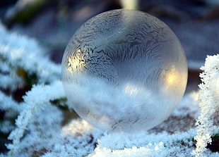 close up photo of bubble
