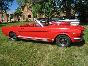 red convertible car on grassfield HD wallpaper