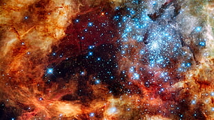 assorted-color galaxy painting, space