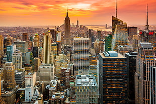 Empire State Building, city, New York City, Manhattan, Empire State Building HD wallpaper