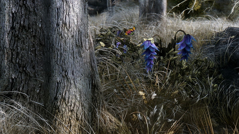 blue flowers, The Elder Scrolls V: Skyrim, video games HD wallpaper