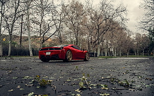 red Ferrari 458 Italia coupe, Klässen iD, Ferrari, Ferrari 458 Italia