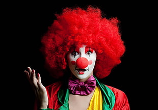 person wearing clown costume portrait