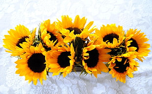 bouquet of deep yellow sunflower