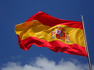 red and yellow coat-printed flag