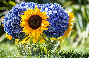shallow focus photography of yellow Sunflower between blue flowers