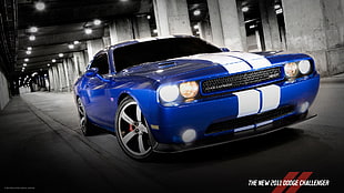 blue and white BMW coupe, car, blue cars, Dodge, Dodge Challenger