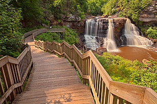 brown wooden stairway near water falls, blackwater falls