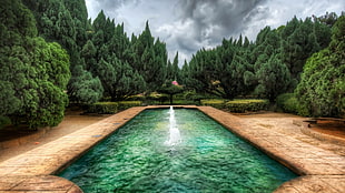 green pine trees, house, HDR, park, water