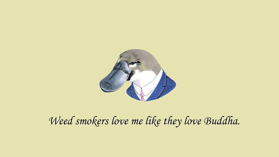 weed smokes love me life they love buddha post, minimalism, simple background, digital art, quote HD wallpaper