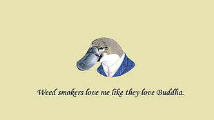 weed smokes love me life they love buddha post, minimalism, simple background, digital art, quote