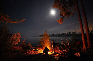 bonfire, landscape, lake, pine trees, camping HD wallpaper
