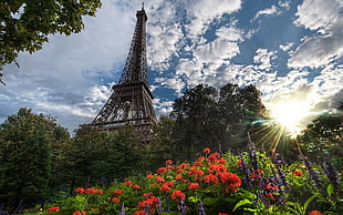 Eiffel Tower, Paris, cityscape, Paris, Eiffel Tower, France