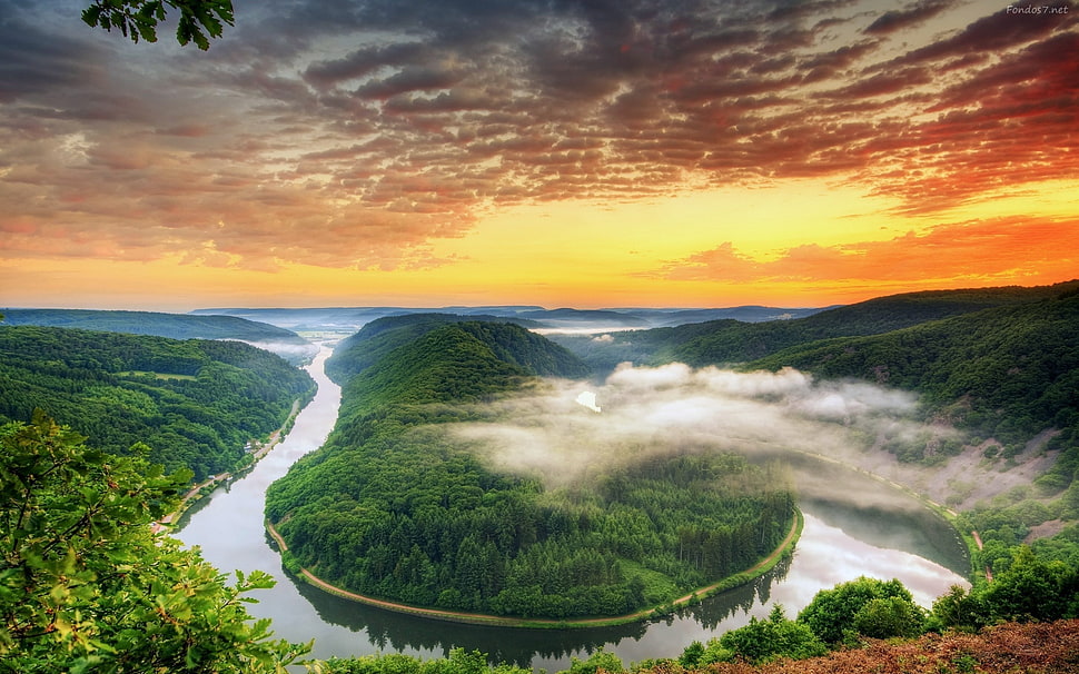 brown and green wooden table, river, forest, sunset HD wallpaper