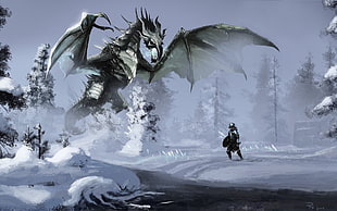 gray dragon illustration, The Elder Scrolls V: Skyrim, The Elder Scrolls, video games, artwork