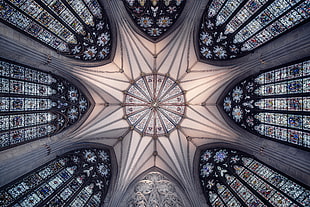 high angle photography of gray, blue, and black floral stained glass building