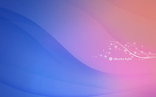 pink and blue graphic wallpaper, Ubuntu