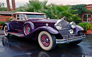 classic purple vehicle, Packard, car, vintage, purple HD wallpaper