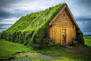 brown wooden house with grass roof, landscape, house, field, Iceland