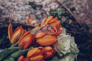 two silver-colored rings, Tulips, Rings, Flowers