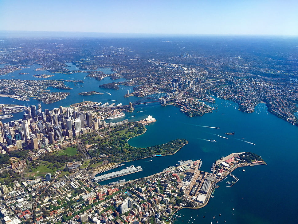 aerial photography of concrete buildings near body of water, Australia, Sydney, aerial view, city HD wallpaper