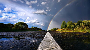 rainbow and green trees, nature, rainbows, road