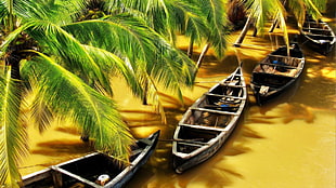 brown canoe boat, nature, water, boat, river