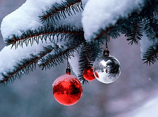 selective focus photo of three bauble ornaments hanged on snow covered pine tree