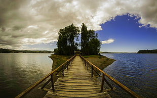 brown lake dock, landscape, nature, bridge, island HD wallpaper