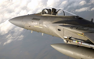 grey fighter aircraft, airplane, F-15 Eagle