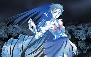woman anime character illustration