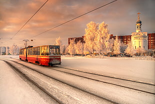 red and brown bus, winter, St. Petersburg, city, tram HD wallpaper