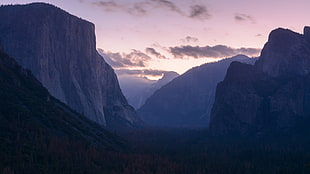 black valley, landscape, sunset, mountains, forest HD wallpaper