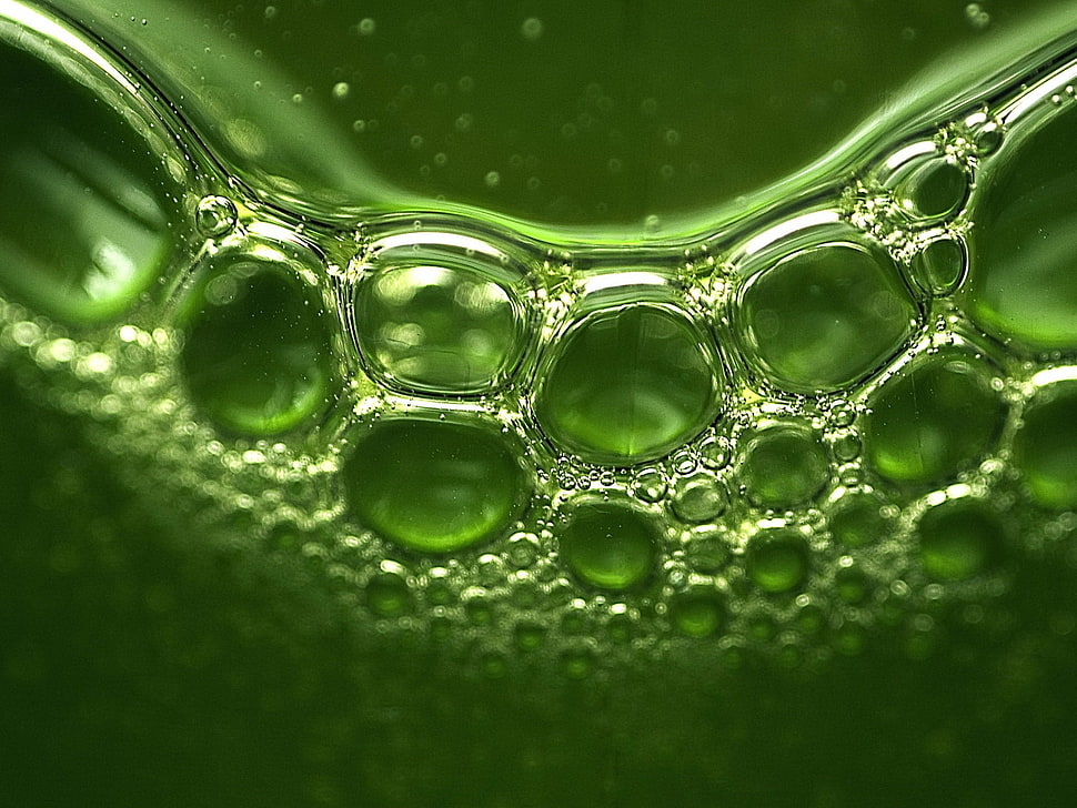micro photography of green liquid with bubbles HD wallpaper