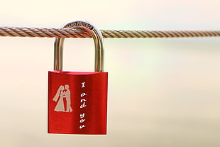 red and gray couple pad lock on brown rope
