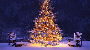 white Christmas tree HD wallpaper