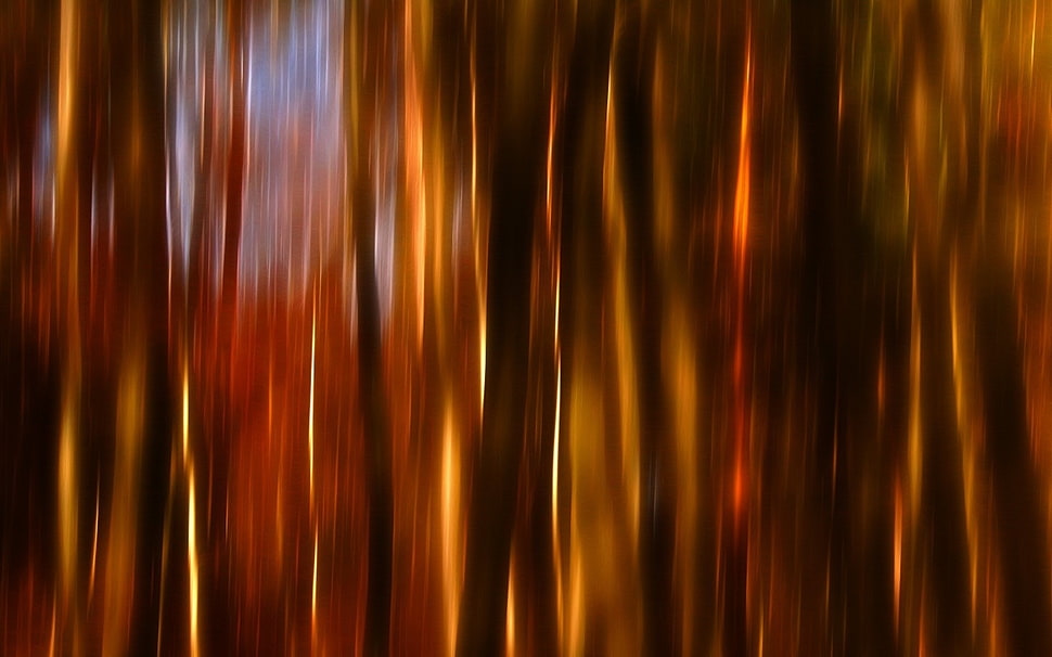 Line,  Vertical,  Light,  Shadow HD wallpaper