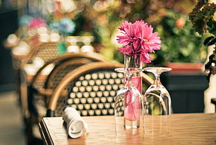 pink Daisies in vase and two upside-down wine glasses on brown table