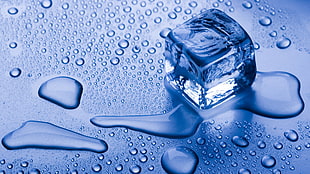 ice cube, ice, water drops, blue, ice cubes HD wallpaper