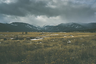 landscape photo of grass field and mountain in the background