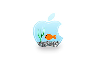 orange fish on Apple logo illustration