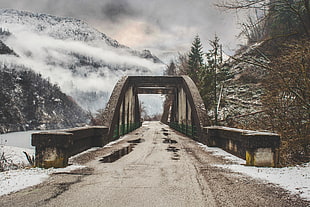 brown metal bridge near mountain and forest HD wallpaper