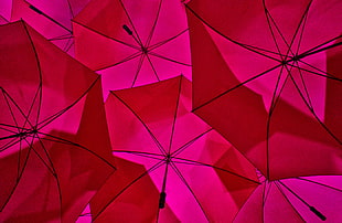 red umbrellas during daytime HD wallpaper