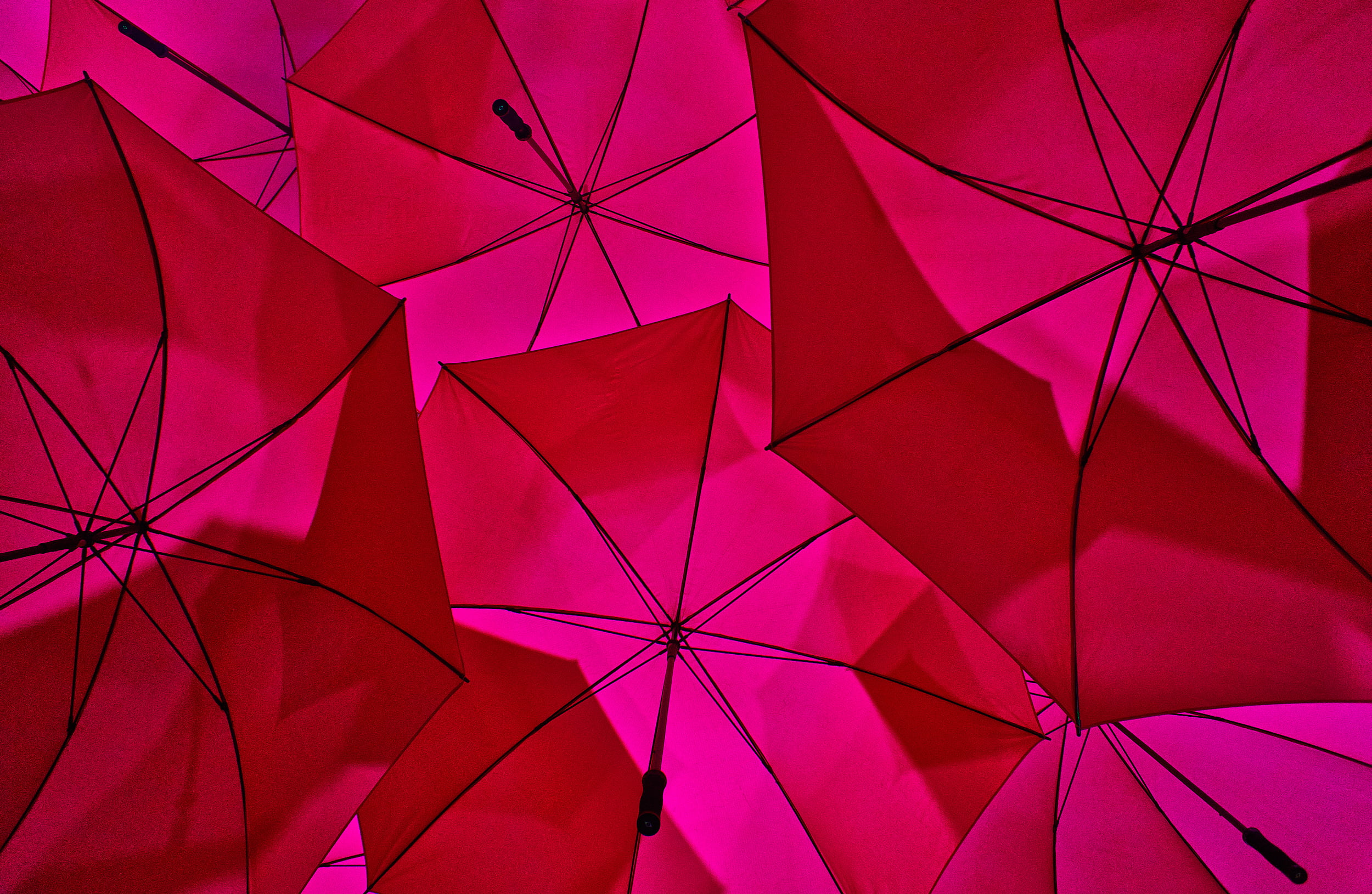 red umbrellas during daytime